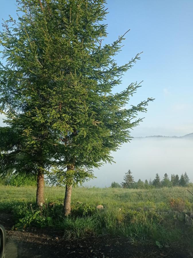 Ecottage Котедж Для Двох У Горах Із Чаном-Джакузі Slavske Εξωτερικό φωτογραφία