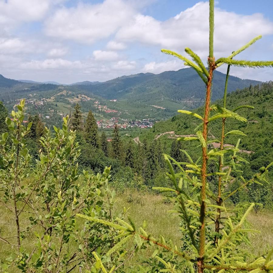 Ecottage Котедж Для Двох У Горах Із Чаном-Джакузі Slavske Εξωτερικό φωτογραφία
